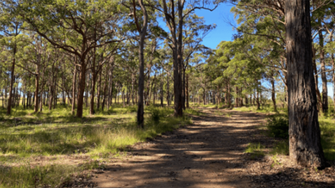 Listing for $4.5 million rural development site in Australia sees agent promising "potential for a cemetery". 