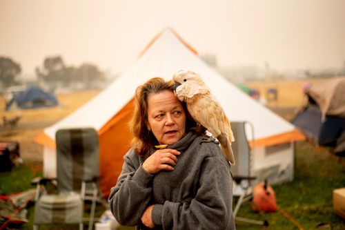 Suzanne Kaksonen, an evacuee of the Camp Fire, and her cockatoo Buddy camp at a makeshift shelter outside a Walmart store in Chico.