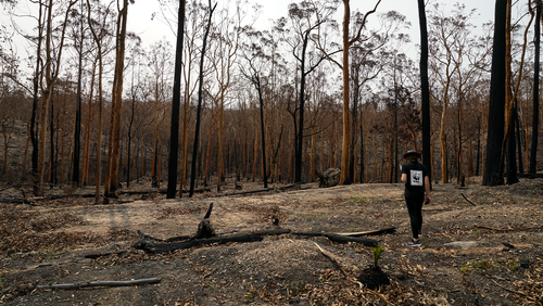 Abigail Sexton (WWF-Australia) observes the aftermath of the devastating bushfires near Surfs Beach in the Shoalhaven region which ripped through on New Year's Eve 2019.