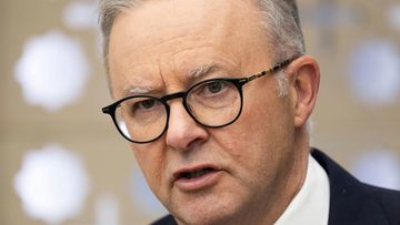 Prime Minister Anthony Albanese addresses the media in New Delhi before boarding his flight to the US.