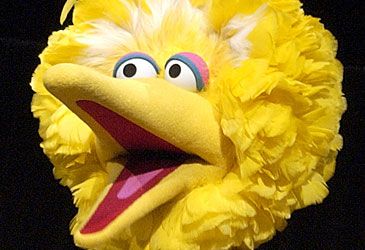 How tall is Sesame Street's Big Bird?
