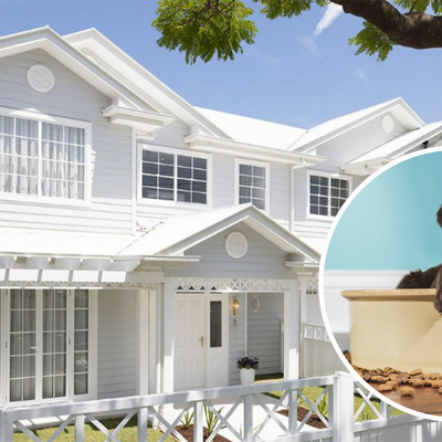 Brand new $4m Queensland property is the ideal luxury home… for a dog