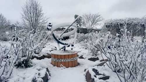 A snow-caked sculpture on a property at Stanthorpe in Queensland. (AAP)