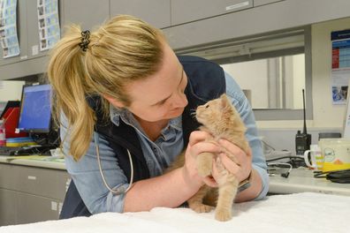 Dr Jessica Wilde with an orange kitten.