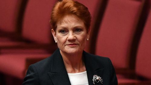 Pauline Hanson says she'll raise tax cuts with colleagues. Picture: AAP