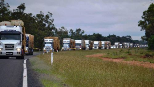 NSW farmer organises convoy of 120 trucks to deliver donated hay to drought-stricken Queensland
