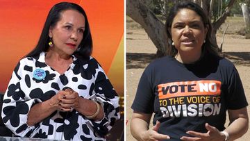 The Voice yes and no campaigns