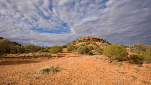 The couple were driving across the remote Gibson Desert in WA.