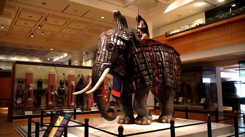 In ancient times war elephants were the most feared weapons on a battlefield. 