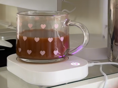 TikToker reviews the Kmart $12 desktop mug warmer
