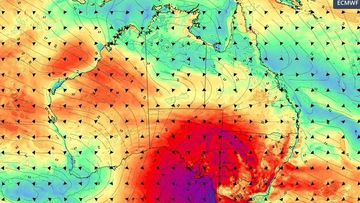 A graphic of wind conditions in Australia for Friday, August 29.
