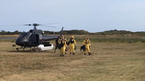 New Zealand volcano disaster: Adelaide man Gavin Dallow and step-daughter  Zoe Hosking join mother and daughter Julia and Jessica Richards as  confirmed dead