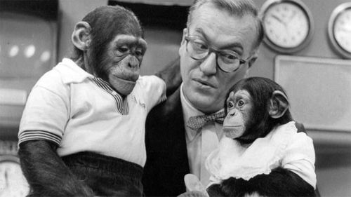 J Fred Muggs ve Phoebe B Beebe, Today Show setinde tanıştılar.