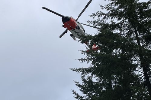Two men die in forest in Washington State while searching for Bigfoot