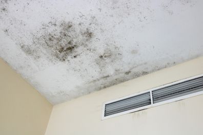 Mould on the ceiling in an apartment