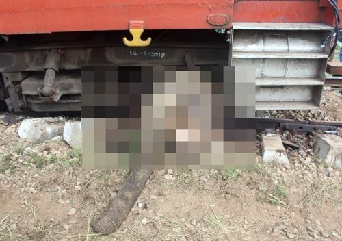 A Sri Lankan elephant is dead and trapped under a train.