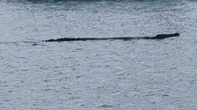 A large crocodile has been spotted around Airlie Beach, prompting a warning.