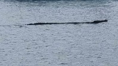 Un gros crocodile a été repéré autour d'Airlie Beach, ce qui a déclenché un avertissement.