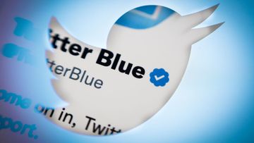 The Twitter blue bird logo