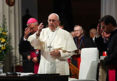 Pope Francis has revealed he shares the outrage of rank-and-file Catholics over the cover-up of the "repugnant crimes" of priests who raped and molested children and says he is committed to ending the "scourge".