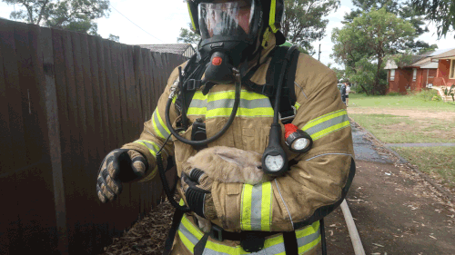 A pet bunny has been rescued from a large house fire in Sydney's west.