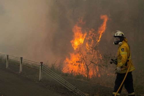 Incêndio florestal ruivo