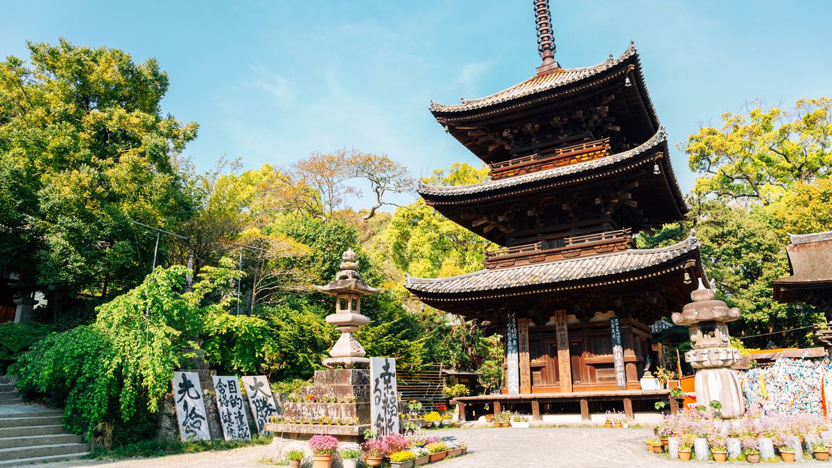 New Asian Favorite Tops Bali for Aussies