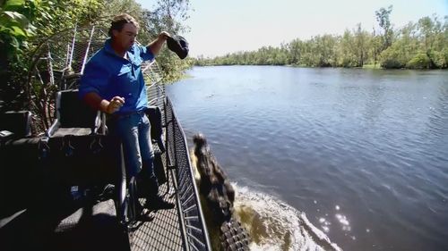 Territoire Wild Croc Matt Wright