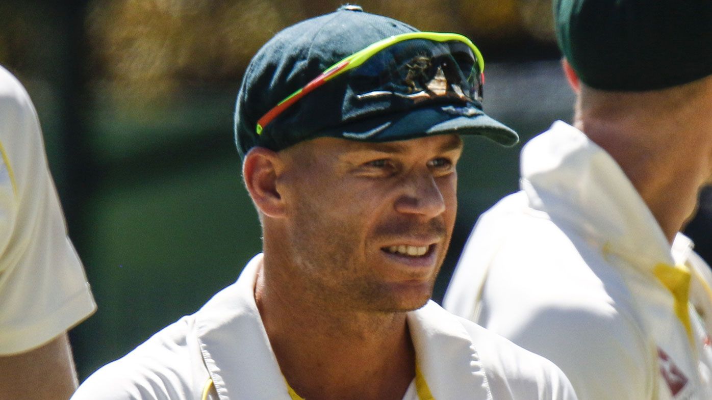 David Warner joins Nine's cricket commentary team for Australia v England ODI