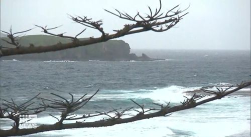 A cyclone is expected to hit Norfolk Island.