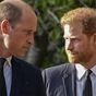 Royal expert's verdict on Harry returning to royal family