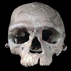 Jebel Irhoud skull (Getty)
