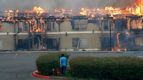 Rudy Habibe, from Puerto Rico, and his service dog Maximus walk toward a burning building at the Hilton Sonoma Wine Country hotel, where he was a guest, in Santa Rosa, Calif. (AP)