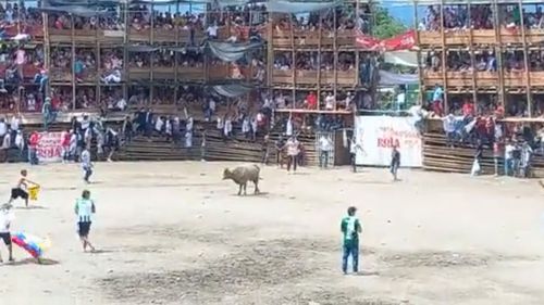 È stato riferito che diverse persone erano nell'arena con i tori quando le tribune dello stadio si sono abbassate.