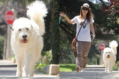 Olivia Wilde and her dog look as though they love eachother's company.