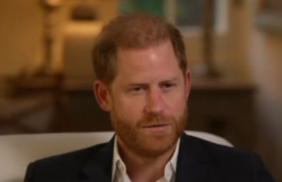 prince harry bbc interview