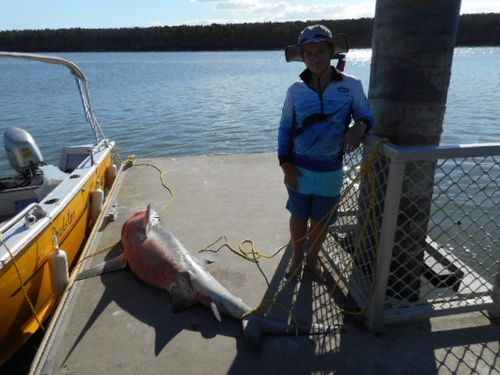 Jake was not expecting to see a shark and a crocodile so close up when his pop invited him fishing on the Proserpine River. 
