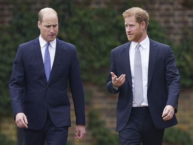 Prince William and Prince Harry statue unveiling