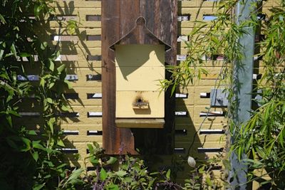 Caring for your bees