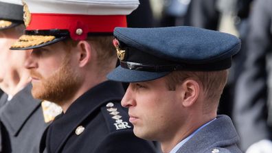 Prince Harry and Prince William