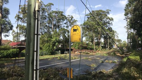 Sydney thunderstorms trees downed Carlingford