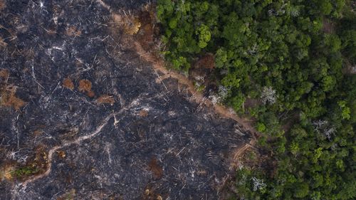 In this Nov. 23, 2019 photo, a burned area of the Amazon rainforest is seen in Prainha, Para state, Brazil.