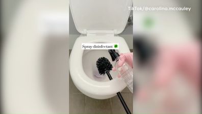 Bathroom cleaning toilet brush TikTok hack