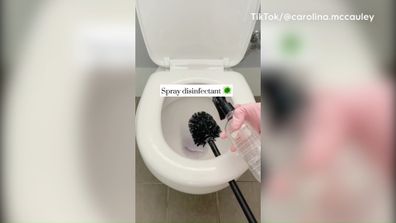 Staff Launched The Toilet Brush and I Tried It Out — Here's My Review