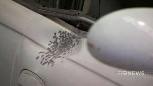 The Holden Commodore was sprayed with shotgun pellets. (9NEWS)