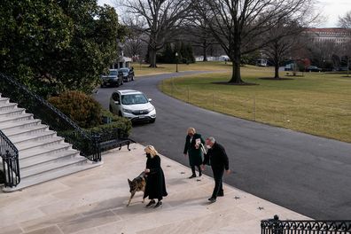 Joe Biden's dogs arrive at the White House