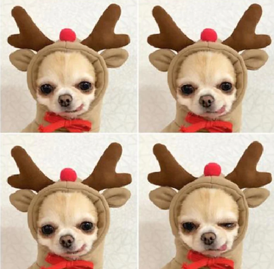 Christmas hoodies for dogs
