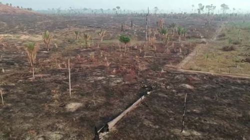 Brazil Amazon deforestation