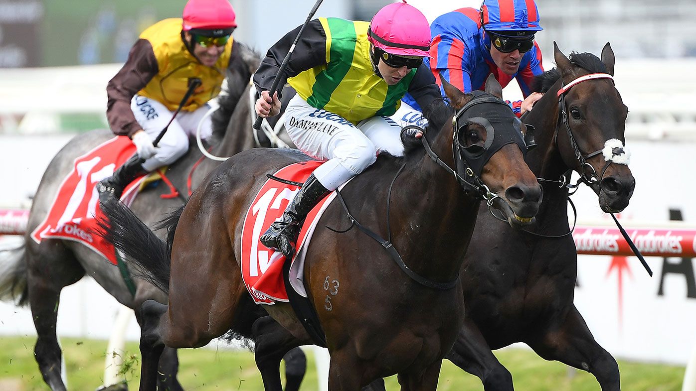 Melbourne Cup 2019: The facts and figures to help you tip a winner