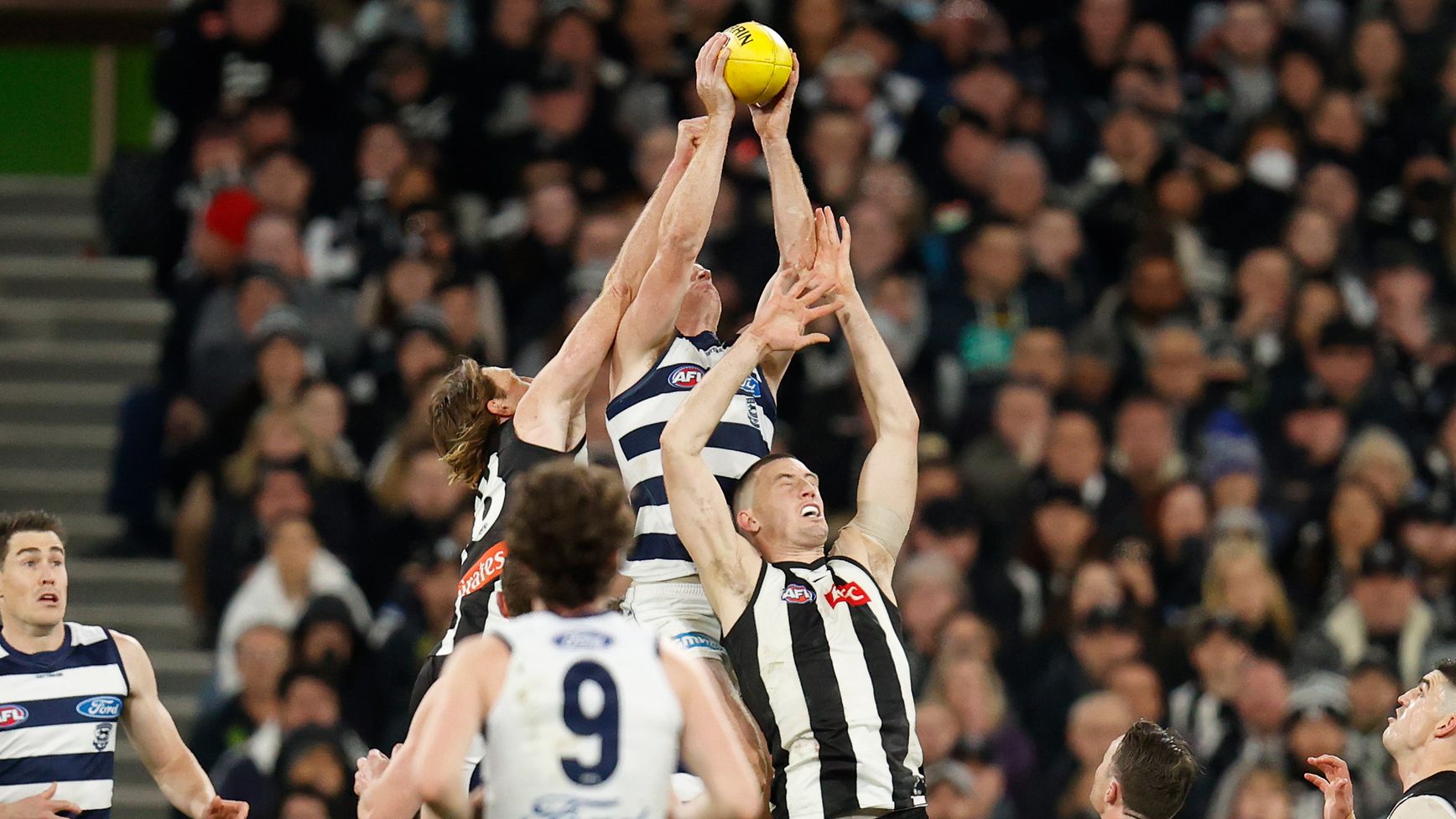 Geelong&#x27;s Gary Rohan marks the ball over Darcy Cameron of the Magpies.